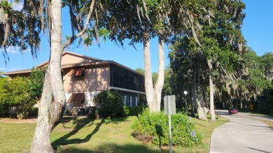 Lake Condo For Sale in Deltona, Florida