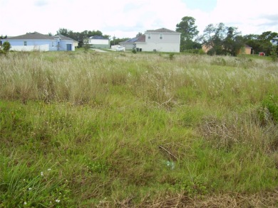 Lake Marion - Polk County Lot For Sale in Kissimmee Florida