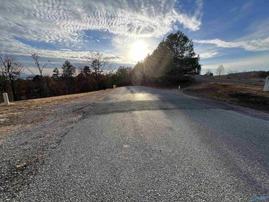 Fabulous home site for your next newly constructed residence. An - photo 12