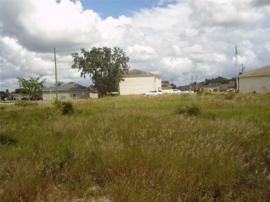 BUY THIS BEAUTIFUL 14,614 SQ. FT. BACK FLAG LOT WITH A GREENWAY - photo 3