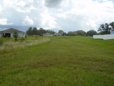 BUY THIS BEAUTIFUL 14,614 SQ. FT. BACK FLAG LOT WITH A GREENWAY - photo 4