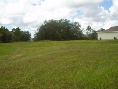 BUY THIS BEAUTIFUL 14,614 SQ. FT. BACK FLAG LOT WITH A GREENWAY - photo 6