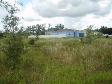 BUY THIS BEAUTIFUL 14,614 SQ. FT. BACK FLAG LOT WITH A GREENWAY - photo 7
