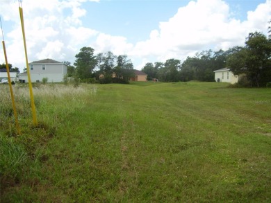BUY THIS BEAUTIFUL 14,614 SQ. FT. BACK FLAG LOT WITH A GREENWAY - photo 8