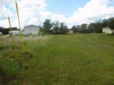 BUY THIS BEAUTIFUL 14,614 SQ. FT. BACK FLAG LOT WITH A GREENWAY - photo 9