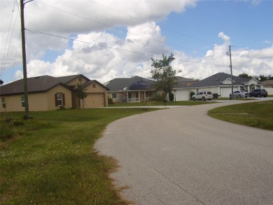 BUY THIS BEAUTIFUL 14,614 SQ. FT. BACK FLAG LOT WITH A GREENWAY - photo 10