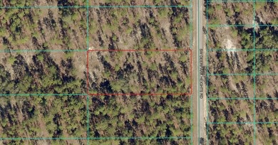 Bonable Lake Lot For Sale in Dunnellon Florida