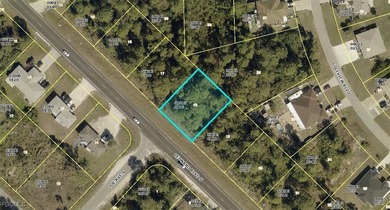 Lehigh Acres Area Lot For Sale in Lehigh Acres Florida