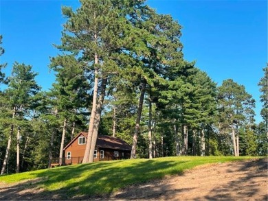 Lake Home For Sale in Crosslake, Minnesota