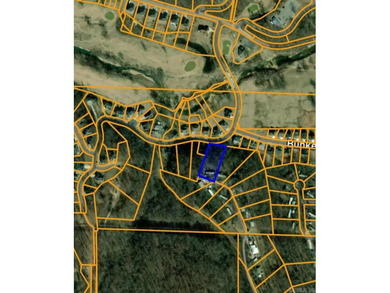 Bring your tools and big toys and own a 1.17 (+/-) acre lot in - photo 9