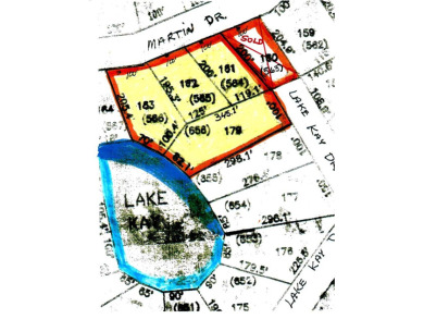 Lake Acreage For Sale in Donalsonville, Georgia