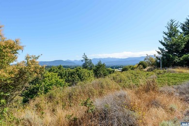 Wake up to sweeping mountain and valley views in one of Sequim's - photo 47