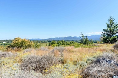Wake up to sweeping mountain and valley views in one of Sequim's - photo 48