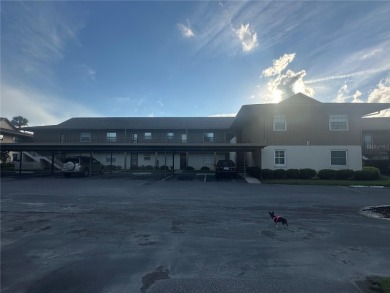 Lake Condo For Sale in Astor, Florida