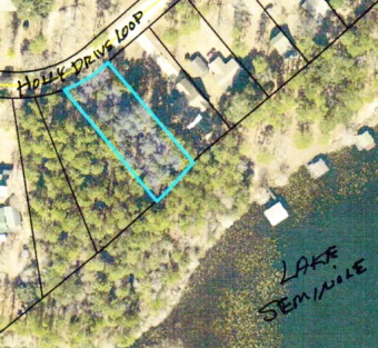 Lake Lot For Sale in Donalsonville, Georgia