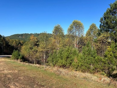 Lake Lot For Sale in Blairsville, Georgia