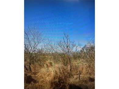 Lake Acreage For Sale in Mathis, Texas