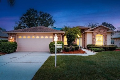 Lake Home Sale Pending in Trinity, Florida