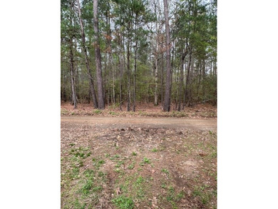 Toledo Bend Lake Acreage For Sale in Hemphill Texas