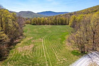 Mettawee River Acreage For Sale in Dorset Vermont