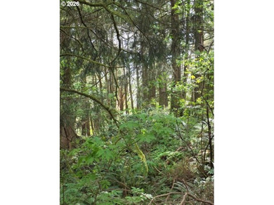 TWO 50'x100' gently sloping lots are affordably priced to sell; - photo 11