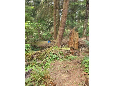 TWO 50'x100' gently sloping lots are affordably priced to sell; - photo 13