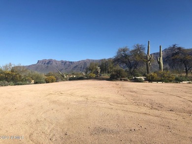 Located on the corner of Kings Ranch Road and Desert Dawn Drive - photo 1