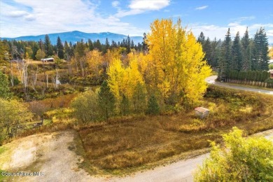 (private lake, pond, creek) Lot For Sale in Sandpoint Idaho