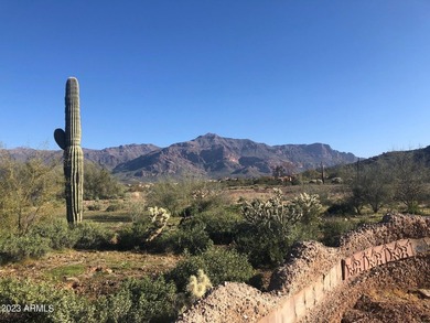 Located on the corner of Kings Ranch Road and Desert Dawn Drive - photo 2