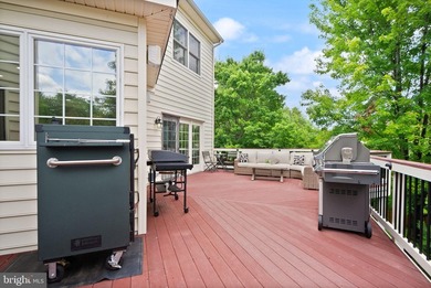 Welcome to 5397 Cedarville Court, a stunning, meticulously - photo 40