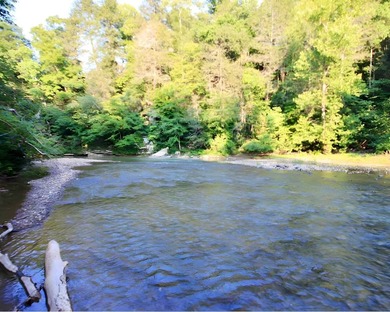 (private lake, pond, creek) Acreage For Sale in Duff Tennessee