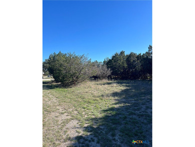 This is a beautiful double lot. Close to Canyon Lake. Amenities - photo 1
