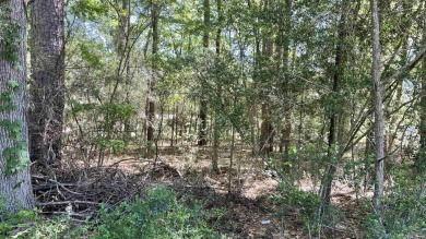 Toledo Bend Lake Lot For Sale in Milam Texas