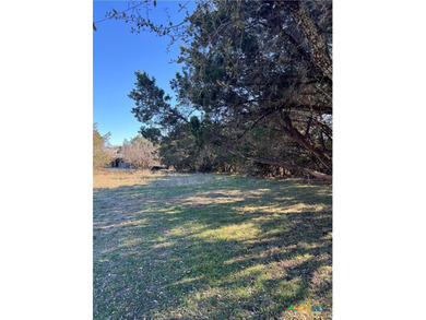 This is a beautiful double lot. Close to Canyon Lake. Amenities - photo 2
