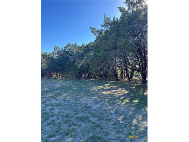 This is a beautiful double lot. Close to Canyon Lake. Amenities - photo 3