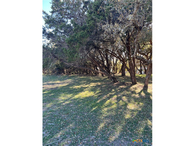 This is a beautiful double lot. Close to Canyon Lake. Amenities - photo 4