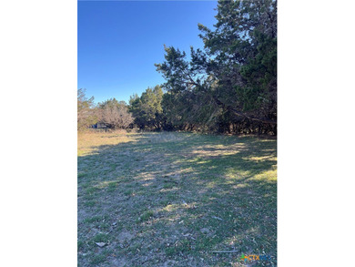 This is a beautiful double lot. Close to Canyon Lake. Amenities - photo 5
