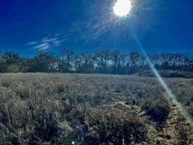 DO NOT MISS OUT ON this beautiful 10 acre property to call your - photo 12
