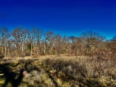 DO NOT MISS OUT ON this beautiful 10 acre property to call your - photo 16