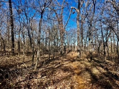 DO NOT MISS OUT ON this beautiful 10 acre property to call your - photo 18