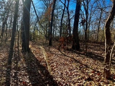 DO NOT MISS OUT ON this beautiful 10 acre property to call your - photo 19