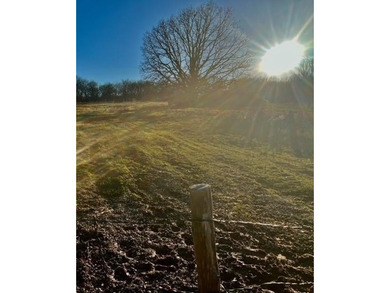 DO NOT MISS OUT ON this beautiful 10 acre property to call your - photo 25