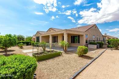 Enjoy resort-style living in Sun City Festival, a premier 55+