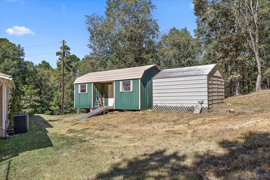Beautiful home on Lake Pinkston. Just under 3 acres with two - photo 11