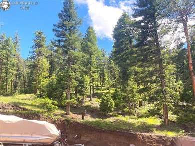 Welcome to Spencer's Mountain: A private, secluded log home - photo 44