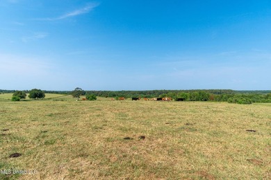 Welcome to an extraordinary real estate opportunity that - photo 49