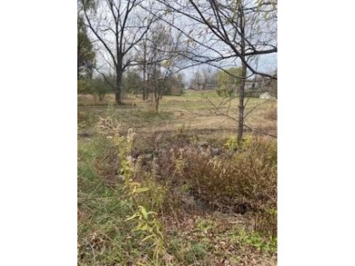 Canandaigua Lake Lot For Sale in Canandaigua New York