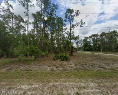 Lehigh Acres Area Lot For Sale in Lehigh Acres Florida