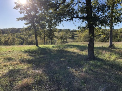 (private lake, pond, creek) Acreage For Sale in Aurora Missouri