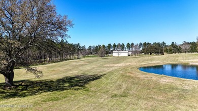 Welcome to 1021 Elarton Rd in Osyka, MS! This property offers - photo 11